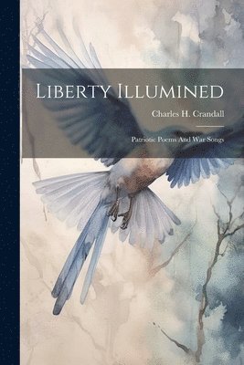 Liberty Illumined 1