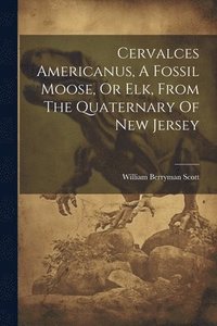 bokomslag Cervalces Americanus, A Fossil Moose, Or Elk, From The Quaternary Of New Jersey