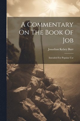 bokomslag A Commentary On The Book Of Job