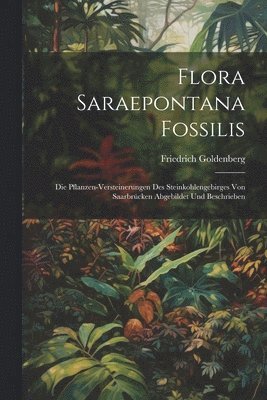 bokomslag Flora Saraepontana Fossilis