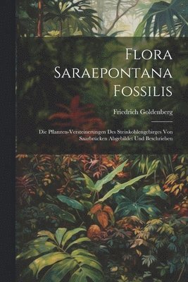 Flora Saraepontana Fossilis