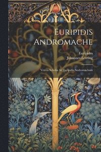 bokomslag Euripidis Andromache