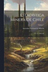 bokomslag Estadística Minera De Chile