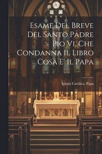 bokomslag Esame Del Breve Del Santo Padre Pio Vi. Che Condanna Il Libro Cosa E' Il Papa