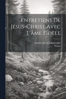 bokomslag Entretiens De Jsus-christ Avec L'me Fidle