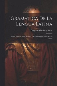 bokomslag Gramatica De La Lengua Latina