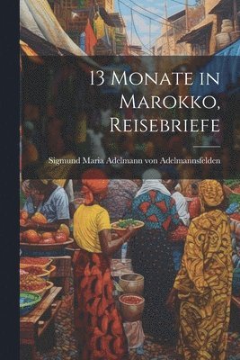 bokomslag 13 Monate in Marokko, Reisebriefe