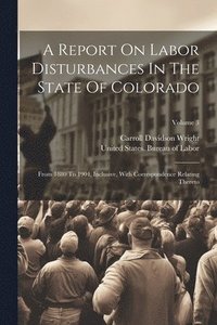 bokomslag Report On Labor Disturbances In The State Of Colorado