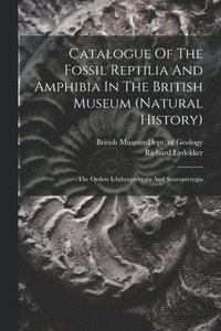 bokomslag Catalogue Of The Fossil Reptilia And Amphibia In The British Museum (natural History)