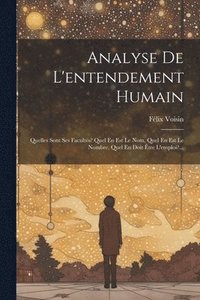 bokomslag Analyse De L'entendement Humain