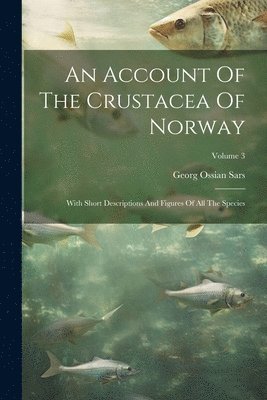 bokomslag Account Of The Crustacea Of Norway