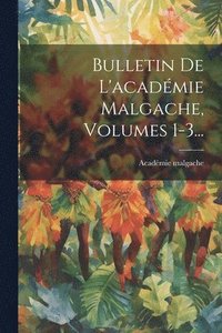 bokomslag Bulletin De L'acadmie Malgache, Volumes 1-3...