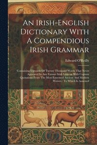 bokomslag An Irish English Dictionary with a Compendious Irish Grammar