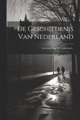 bokomslag De Geschiedenis Van Nederland