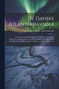 bokomslag De Danske Atlanterhavsøer