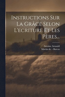 bokomslag Instructions Sur La Grâce Selon L'ecriture Et Les Pères...