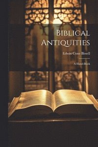 bokomslag Biblical Antiquities