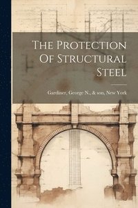 bokomslag The Protection Of Structural Steel