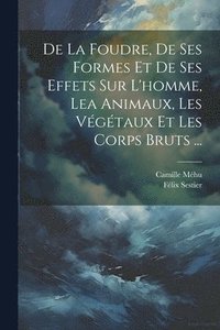 bokomslag De La Foudre, De Ses Formes Et De Ses Effets Sur L'homme, Lea Animaux, Les Vgtaux Et Les Corps Bruts ...