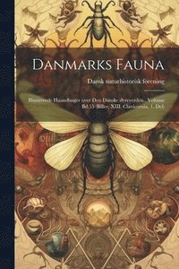bokomslag Danmarks fauna; illustrerede haandbger over den danske dyreverden.. Volume Bd.55 (Biller, XIII. Clavicornia, 1. Del)