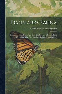 bokomslag Danmarks fauna; illustrerede haandbger over den danske dyreverden.. Volume Bd.56 (Biller, XIV. Clavicornia, 2. Del og Bostrychoidea)