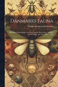 bokomslag Danmarks fauna; illustrerede haandbger over den danske dyreverden.. Volume Bd.57 (Biller, XV. Rovbiller, 1. Del)