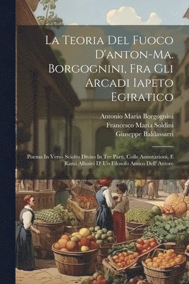 bokomslag La Teoria Del Fuoco D'anton-ma. Borgognini, Fra Gli Arcadi Iapeto Egiratico