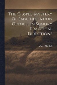 bokomslag The Gospel-mystery Of Sanctification Opened, In Sundry Practical Directions