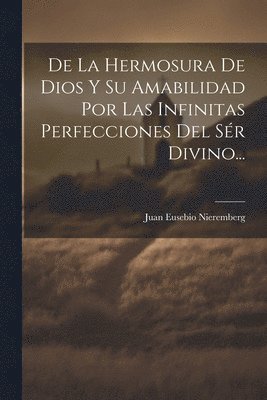 bokomslag De La Hermosura De Dios Y Su Amabilidad Por Las Infinitas Perfecciones Del Sr Divino...