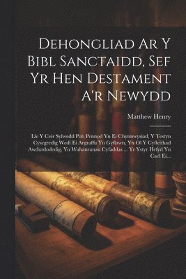 bokomslag Dehongliad Ar Y Bibl Sanctaidd, Sef Yr Hen Destament A'r Newydd