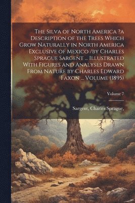 bokomslag Silva of North America ?a Description of the Trees Which Grow Naturally in North America Exclusive of Mexico /by Charles Sprague Sargent ... Illustrated With Figures and Analyses Drawn From Nature ...