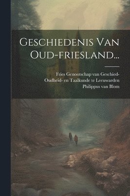 bokomslag Geschiedenis Van Oud-friesland...
