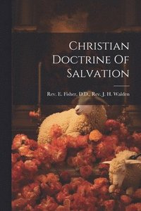 bokomslag Christian Doctrine Of Salvation