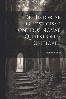 bokomslag De Historiae Gnosticismi Fontibus Novae Quaestiones Criticae...