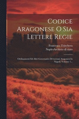 bokomslag Codice Aragonese O Sia Lettere Regie