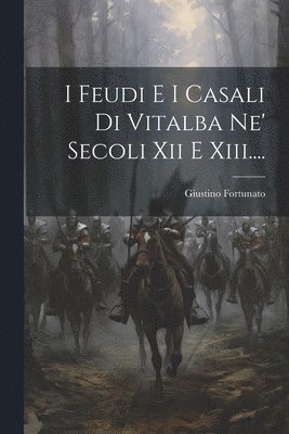 bokomslag I Feudi E I Casali Di Vitalba Ne' Secoli Xii E Xiii....