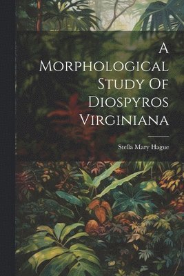 Stella Mary Hague - Morphological Study Of Diospyros Virginiana, Häftad