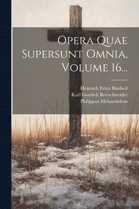 bokomslag Opera Quae Supersunt Omnia, Volume 16...