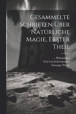 bokomslag Gesammelte Schriften ber natrliche Magie, Erster Theil