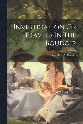 bokomslag Investigation Or Travels In The Boudoir