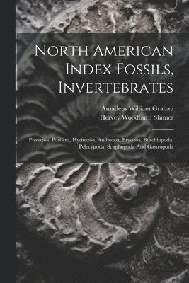 bokomslag North American Index Fossils, Invertebrates