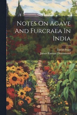 bokomslag Notes On Agave And Furcraea In India