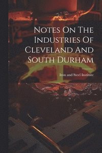 bokomslag Notes On The Industries Of Cleveland And South Durham