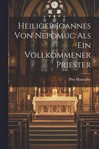 bokomslag Heiliger Joannes Von Nepomuc Als Ein Vollkommener Priester
