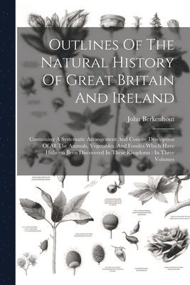 bokomslag Outlines Of The Natural History Of Great Britain And Ireland