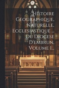 bokomslag Histoire Geographique, Naturelle, Ecclesiastique ... Du Diocese D'embrun, Volume 1...