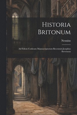 bokomslag Historia Britonum