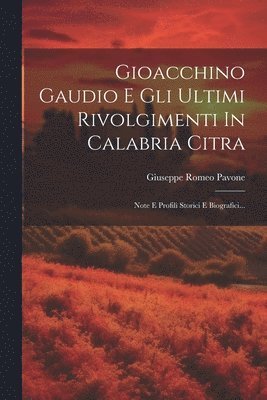 Gioacchino Gaudio E Gli Ultimi Rivolgimenti In Calabria Citra 1