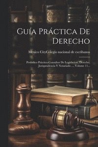 bokomslag Gua Prctica De Derecho
