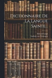 bokomslag Dictionnaire De La Langue Sainte...
